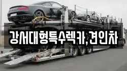강서대형특수렉카,견인차