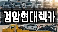 인천 서구 금곡동 렉카, 특수렉카, 차량탁송, 견인운송
