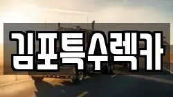 김포특수렉카