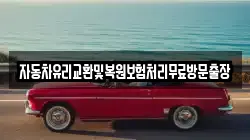 자동차유리교환및복원보험처리무료방문출장
