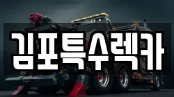 김포특수렉카