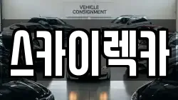 스카이렉카