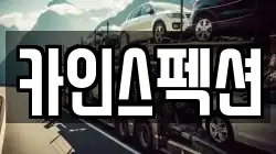 카인스펙션
