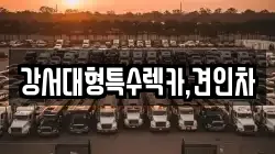 강서대형특수렉카,견인차