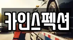 카인스펙션