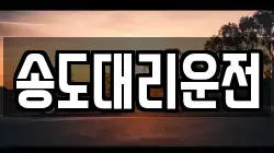 송도대리운전