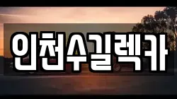 인천수길렉카