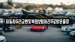 자동차유리교환및복원보험처리무료방문출장