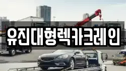 인천 중구 을왕동 렉카, 특수렉카, 차량탁송, 견인운송