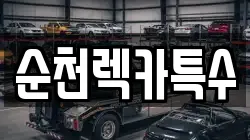 순천렉카특수