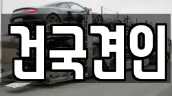 건국견인
