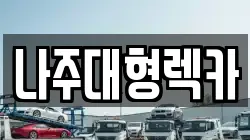 전남 나주시 안창동 렉카, 특수렉카, 차량탁송, 견인운송