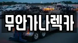 무안가나렉카
