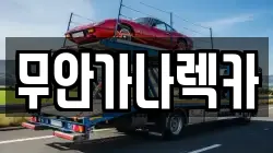 무안가나렉카