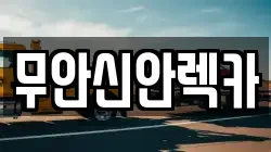 무안신안렉카