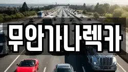 무안가나렉카