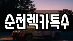순천렉카특수