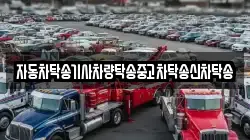 자동차탁송기사차량탁송중고차탁송신차탁송