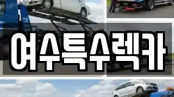 전남 여수시 신월동 렉카, 특수렉카, 차량탁송, 견인운송