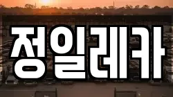 정일레카