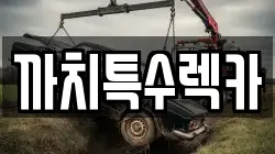 전남 완도군 군외면 렉카, 특수렉카, 차량탁송, 견인운송