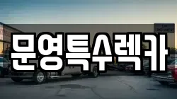 전남 완도군 완도읍 렉카, 특수렉카, 차량탁송, 견인운송