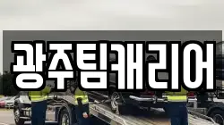 광주팀캐리어