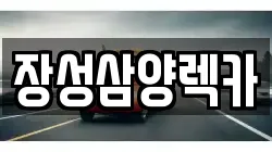 전남 장성군 장성읍 렉카, 특수렉카, 차량탁송, 견인운송