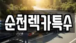 순천렉카특수