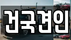 건국견인