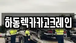 하동렉카카고크레인