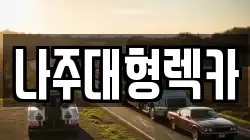 전라남도 나주시 서내동 렉카, 특수렉카, 차량탁송, 견인운송