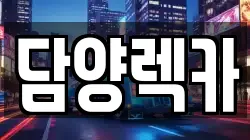 전라남도 담양군 고서면 렉카, 특수렉카, 차량탁송, 견인운송