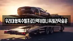 우리대형특수셀프로더렉카미니추레라탁송운