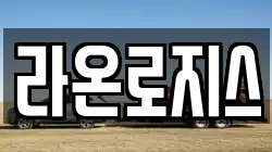 라온로지스