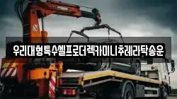 우리대형특수셀프로더렉카미니추레라탁송운