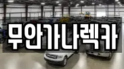 무안가나렉카