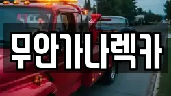 무안가나렉카