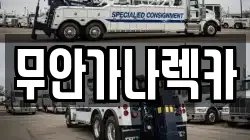 무안가나렉카