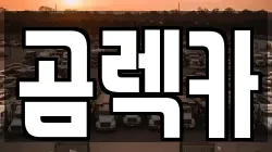 곰렉카