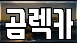 전라남도 신안군 압해읍 렉카, 특수렉카, 차량탁송, 견인운송