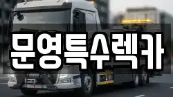 전라남도 완도군 약산면 렉카, 특수렉카, 차량탁송, 견인운송