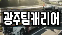 광주팀캐리어
