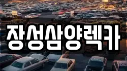 전라남도 장성군 렉카, 특수렉카, 차량탁송, 견인운송