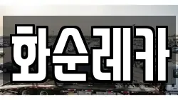 화순레카