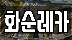 화순레카