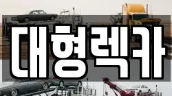 전북특별자치도 군산시 금광동 렉카, 특수렉카, 차량탁송, 견인운송