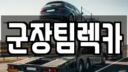 군장팀렉카