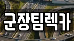 군장팀렉카