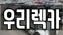 전북특별자치도 군산시 신풍동 렉카, 특수렉카, 차량탁송, 견인운송